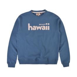 Sudadera Big Surf Crew JR Majolica Blue